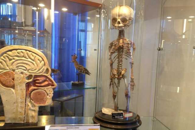 Nel liceo Flacco la ''Teca della memoria'': 240 anni di storia barese